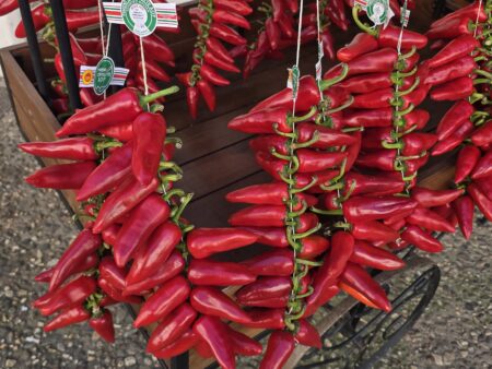 Lire la suite à propos de l’article Du Sud-Est au Sud-Ouest -11-