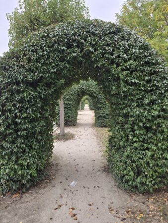 Lire la suite à propos de l’article Du S.O. au S.E. – Le retour – 4