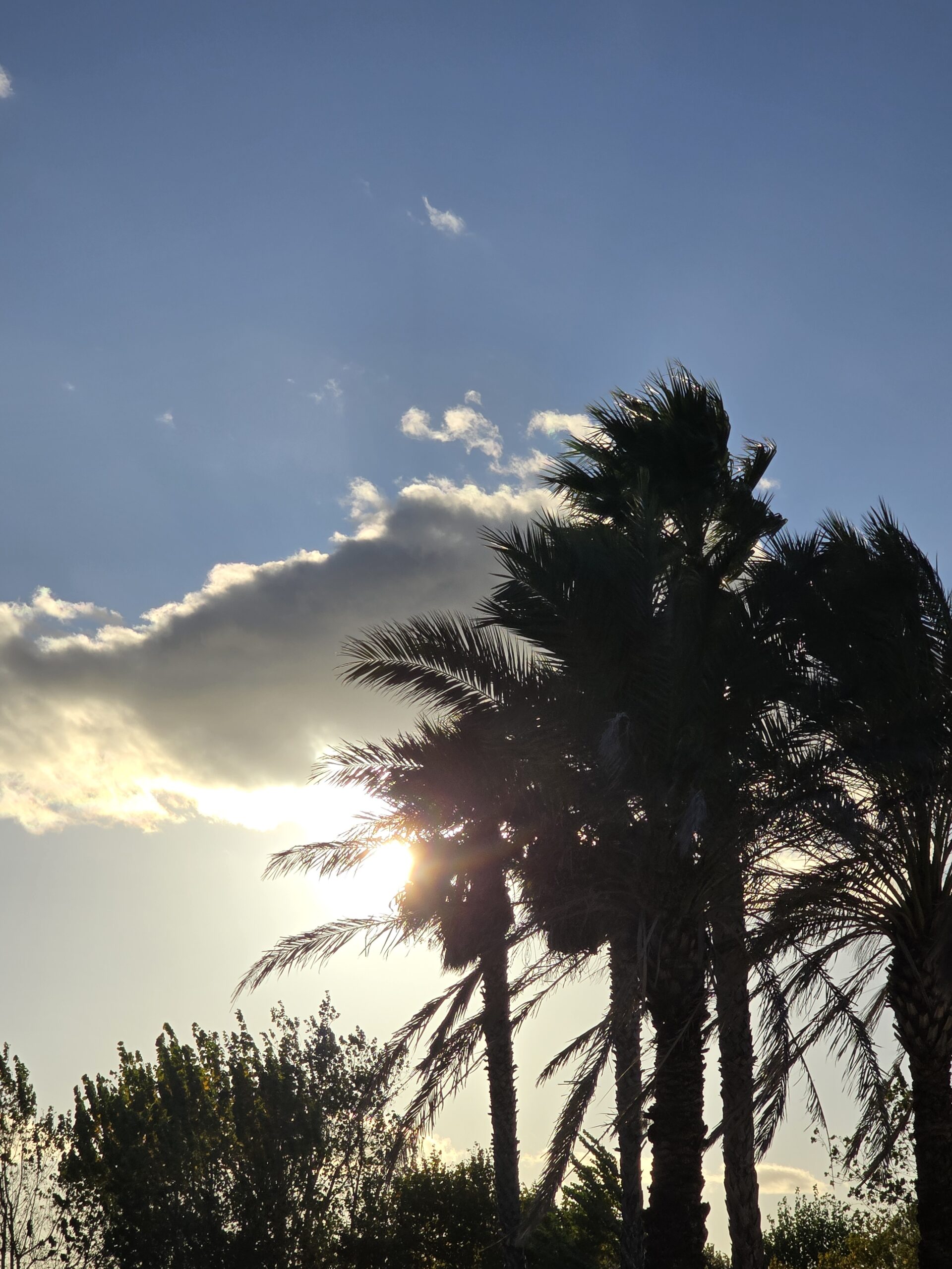 You are currently viewing Du S.O. au S.E. – Le retour – 5-