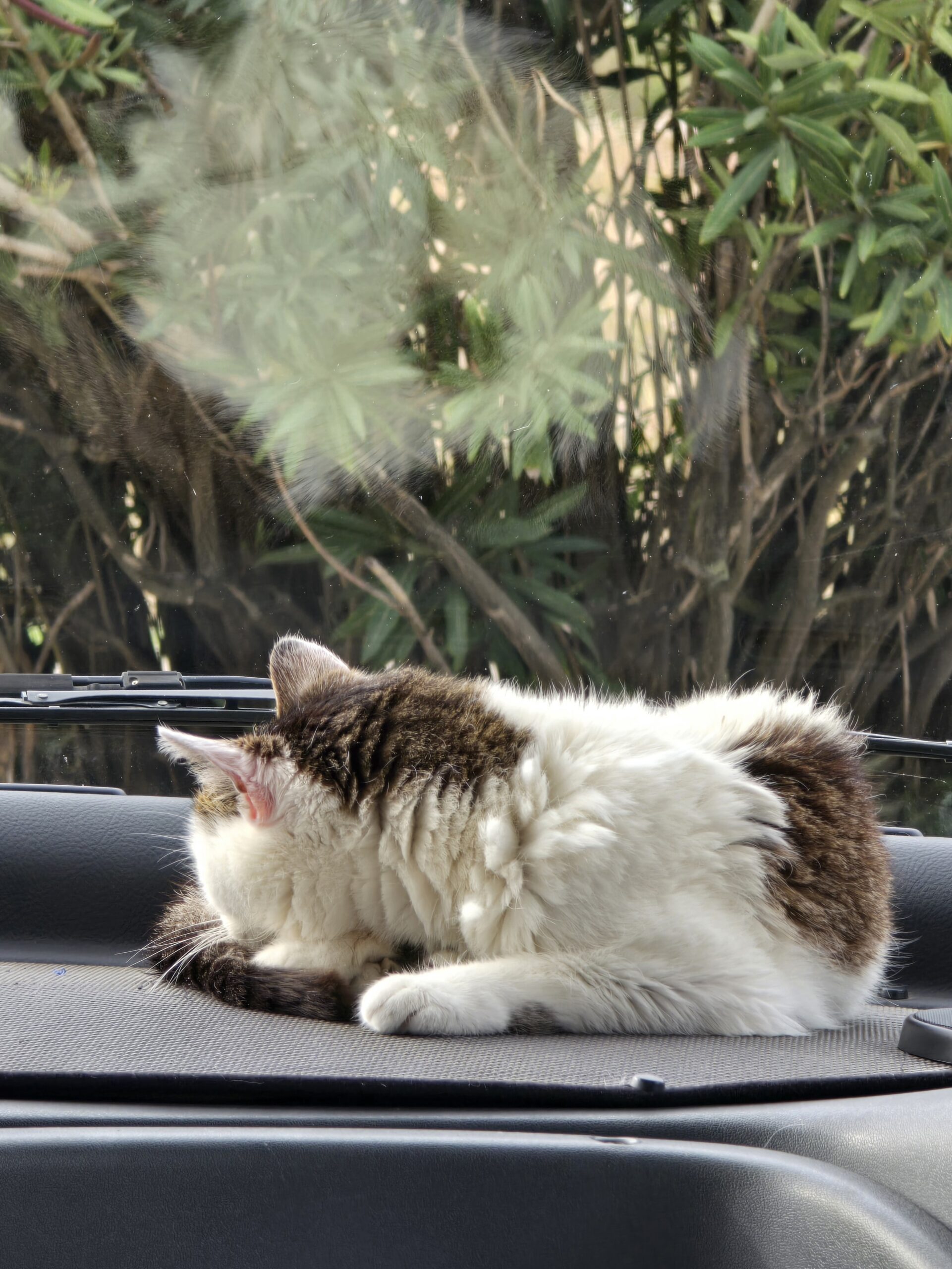 You are currently viewing Du Sud-Est au Sud-Ouest -7-