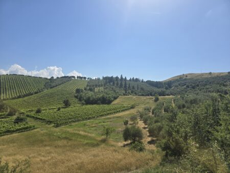 Lire la suite à propos de l’article Vélo en Toscane -1- San Gimignano