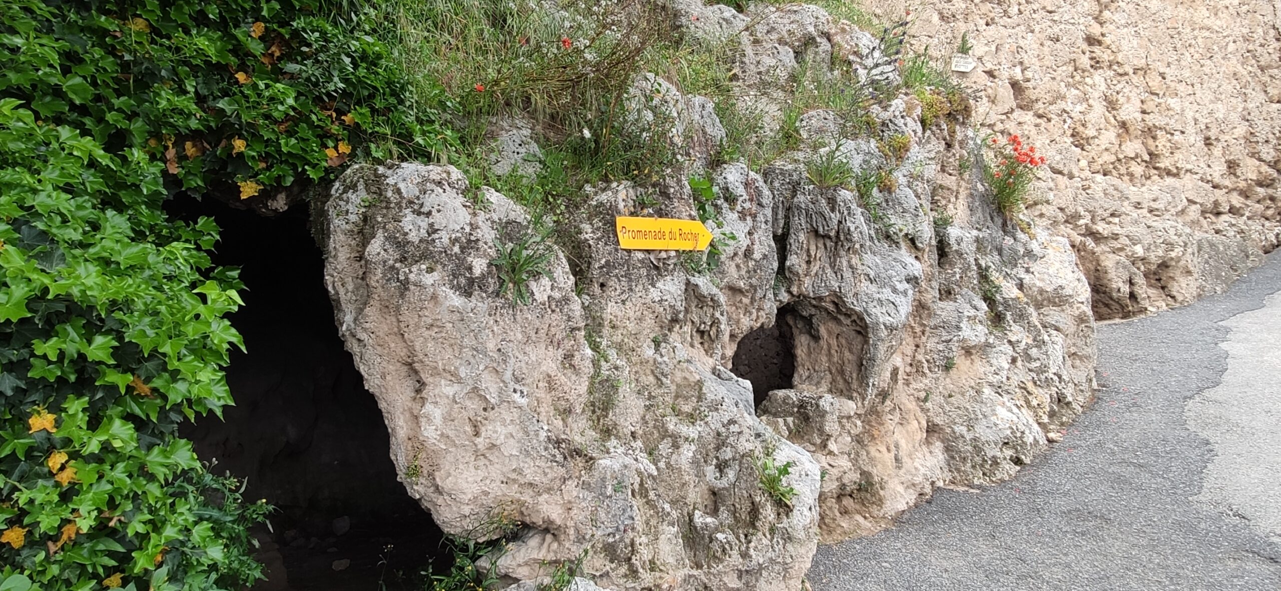 You are currently viewing Une virée dans le Var -4-