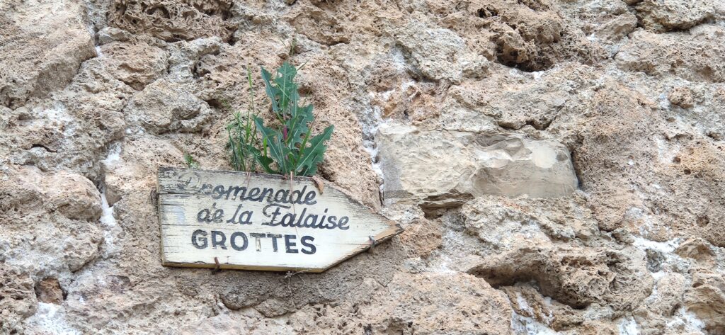 L’attribut alt de cette image est vide, son nom de fichier est IMG_20250508_184852-1024x473.jpg.